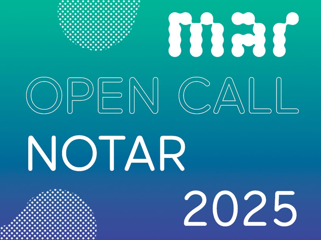 Convocatoria NOTAR IV